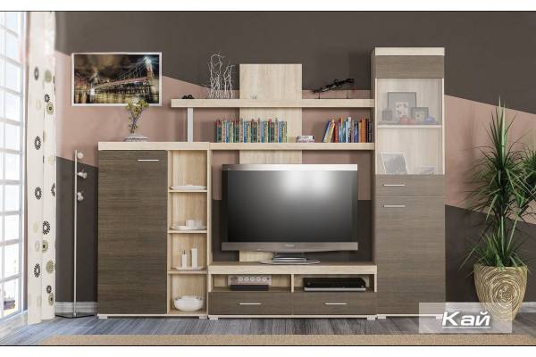 Холна секция Kaj