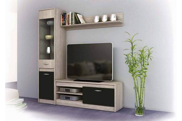 Холна секция Моли