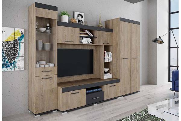 Холна секция Маями 2