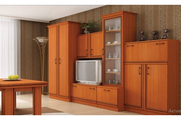 Холна секция Стаси - мостра