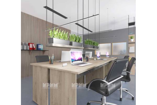 Офис обзавеждане Сити 9055